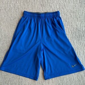 Nike Dri-FIT Shorts - Royal Blue